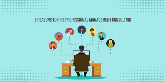 Professional Management Consulting